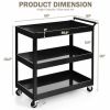 Black Steel Frame Cart on Wheels w/2 Bottom Shelves