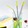 5pcs Set SS Straws w/Silicone Tips